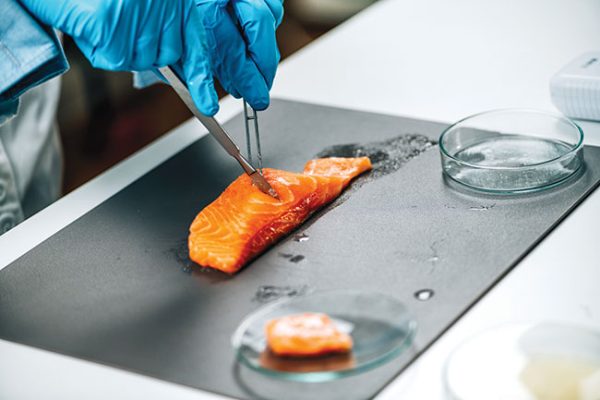 Salmon Made In The Lab Evokes Mixed Reactions Aquaculture North America