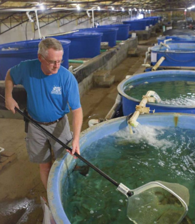 Ohio’s largest indoor fish hatchery traces journey from