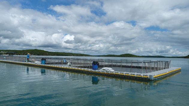 Docking solutions - Aquaculture North AmericaAquaculture North America