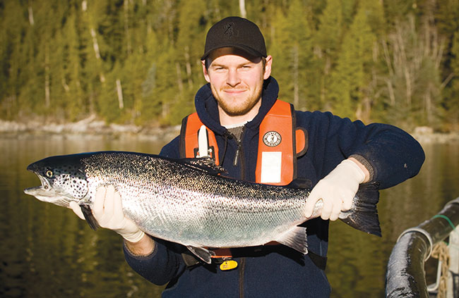 Farm-raised salmon dominates global sustainability rankings ...