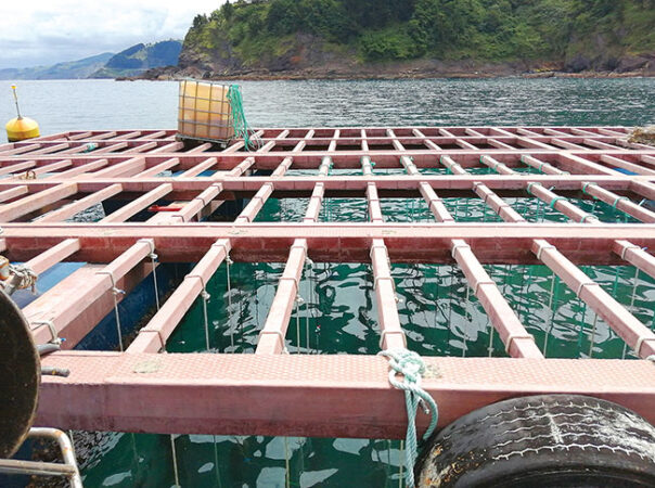 Bio-ropes Could Help Reduce Carbon Footprint Of Aquaculture Operations ...