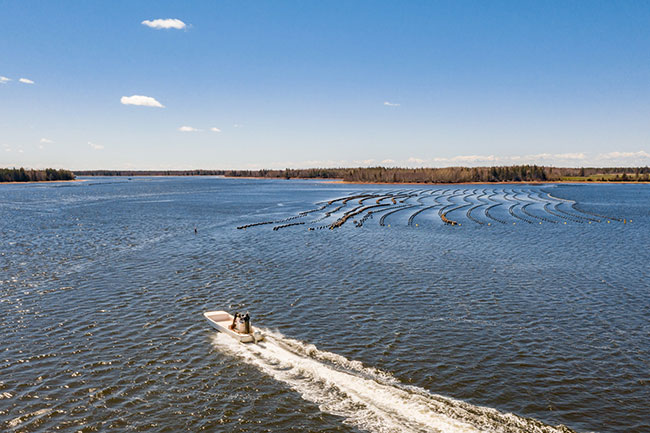 PEI Oyster Farmers Still Waiting On Hurricane Fiona Relief ...